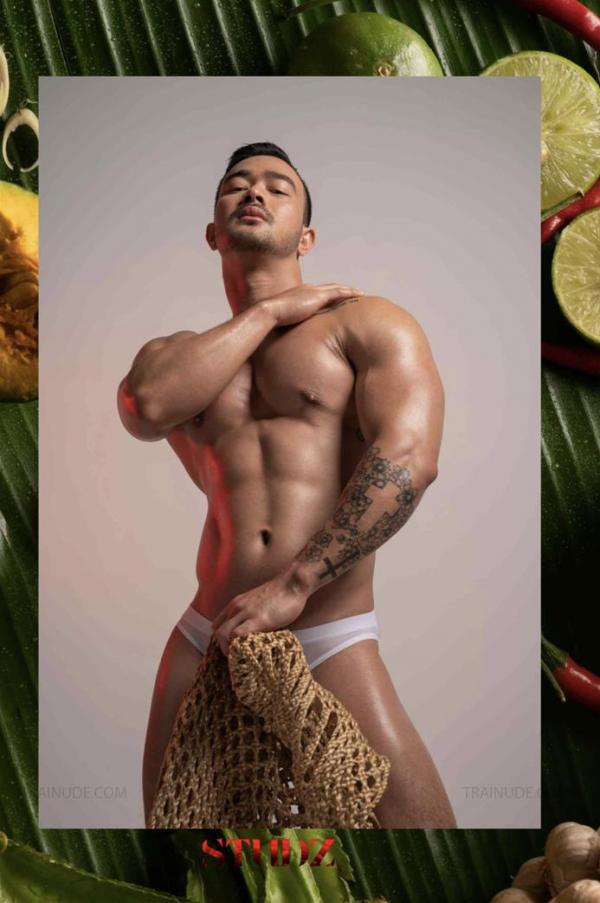 STUDZ-01--Zesty--Ebook--Video-